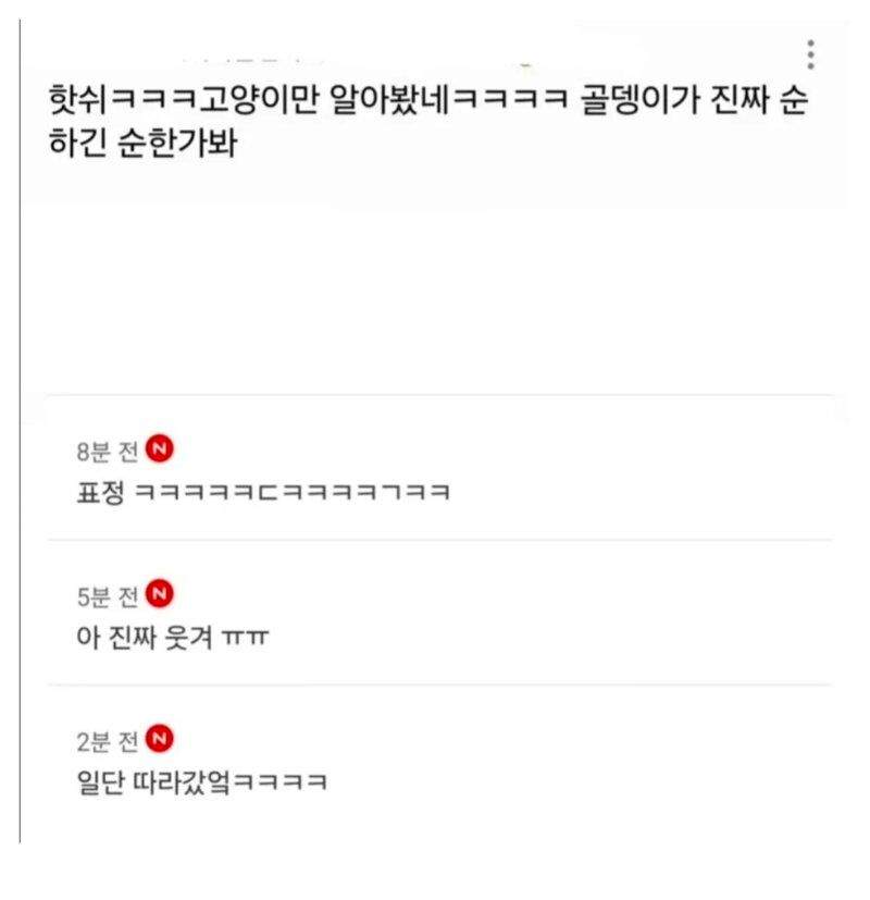 미용실 다녀온 후 표독해진 골댕이