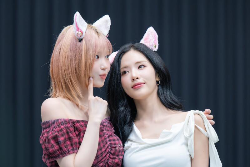 프로미스나인 노랑즈