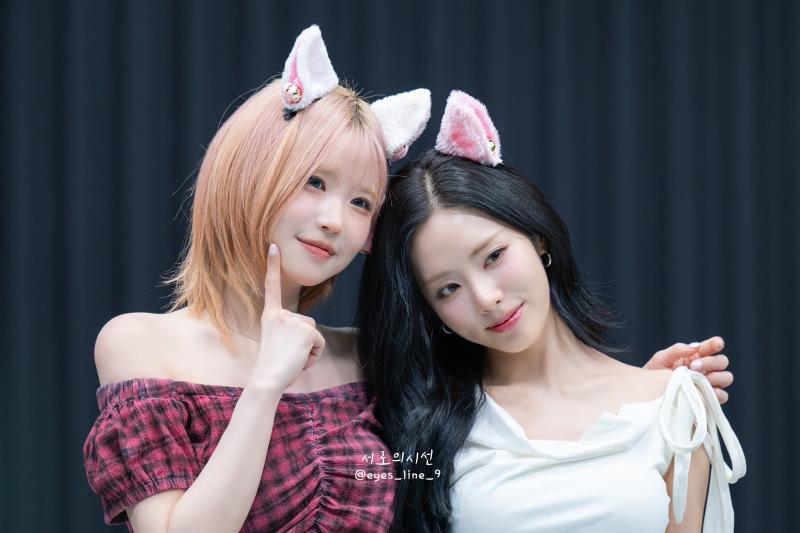 프로미스나인 노랑즈