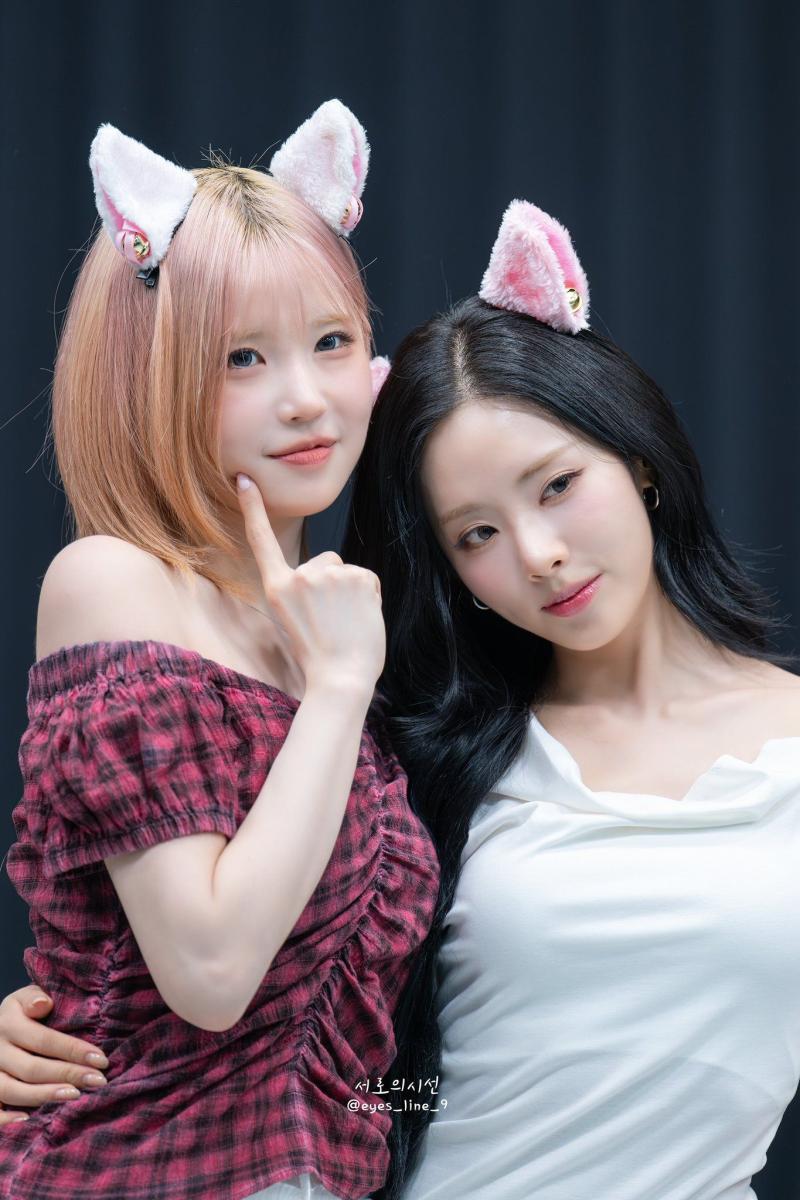 프로미스나인 노랑즈