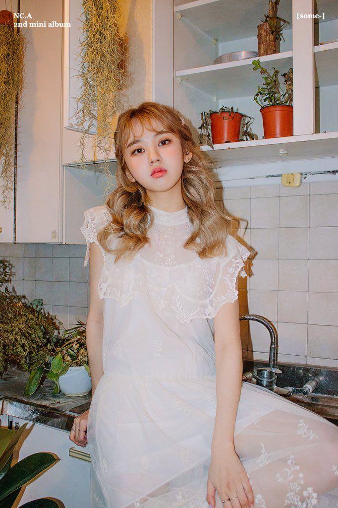 앤씨아