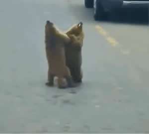 젖꼭지 비틀기