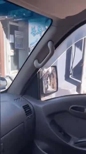 어째선지 신호를 너무 잘 지키는 배달기사님들.gif