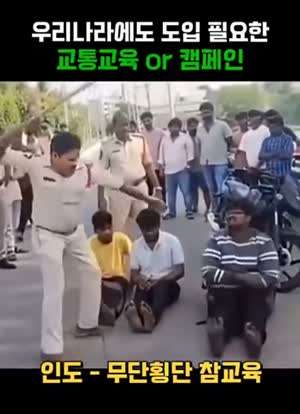 나라별 교통문화 수입이 필요한 이유