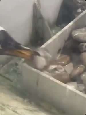 그녀에게 영원히 사랑을 표현 하는 방법