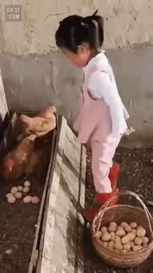 가서 달걀좀 꺼내 와라