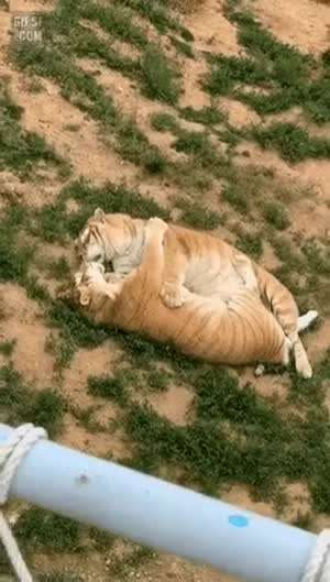 불륜과 찐부부 구분법