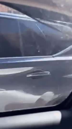 호주의 길거리 싸움
