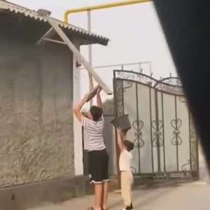 새끼 냥이 구출 합동작전