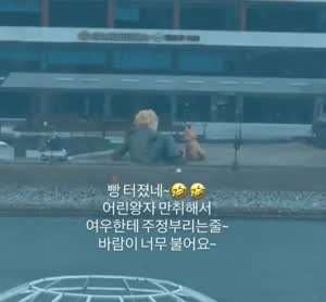 여우한테 술 주정부리는 어린왕자