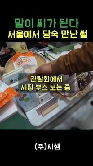서울에서 당숙만난 유튜버.mp4