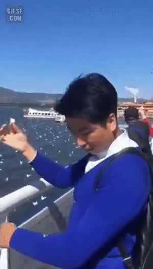 복수