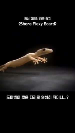 재미와 감동이 있는 태국 광고
