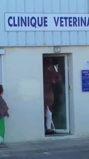 동물 병원 몰카