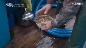 [한국인의 밥상] 새우라면