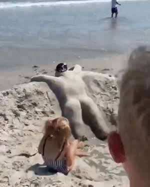 해변의 아이들