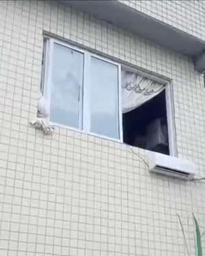 요즘 날씨가 추워진 이유