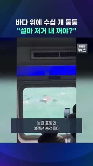 저 떠다니는게 누구꺼여