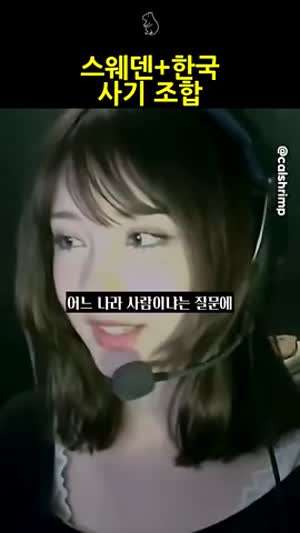 스웨덴 코리아 혼혈의 사기급 화이트 아시안 와시안 유전자