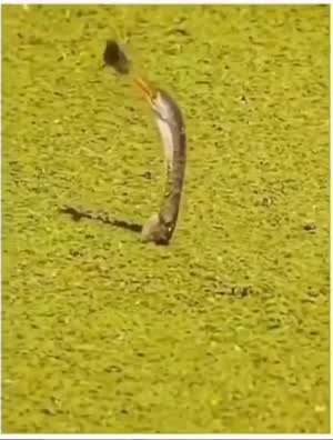 끝까지 포기하지 마세요