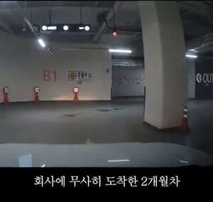 초보운전자의 귀여운 자동차 사고