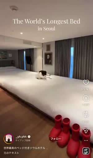 호텔방사진 광각으로 사기치는 호텔