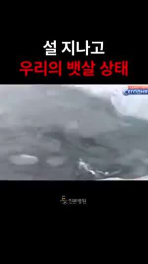 설 지나고 우리의 뱃살 상태