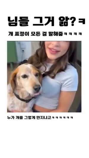 개 표정 왜 저러는지 아는 분