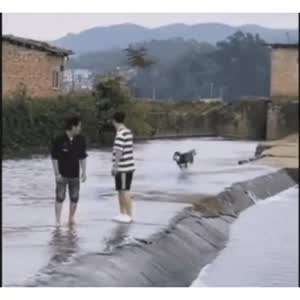 허숙희씨 대참사