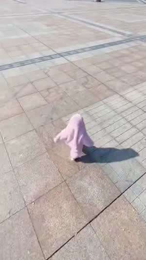 [속보]육지불가사리 발견