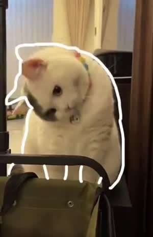 귀여움은 나의 몫
