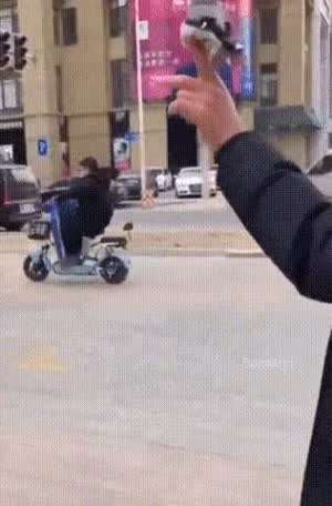 새매치기