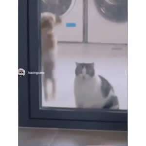 나도 나도
