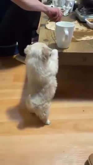 하찮은 뒷태