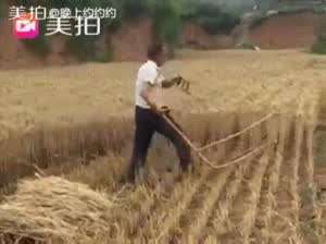 이런거 생전 첨보네요