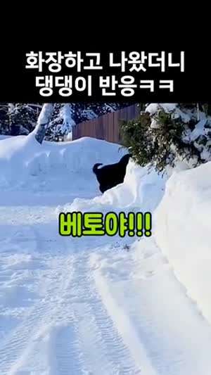 화장한 주인을 처음 본 댕댕이의 반응