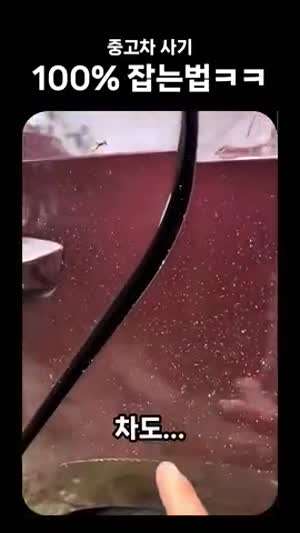 중고차 사기 피하는 법.mp4