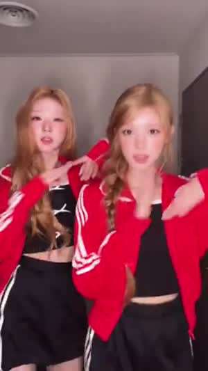 하츠투하츠 유하, 스텔라