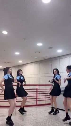 하이키