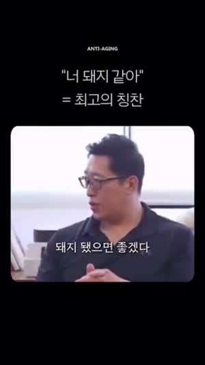 너 돼지 같아 = 최고의 칭찬