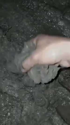 말벌집 입구막기