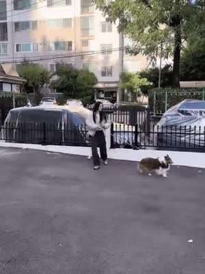 강아지와 놀아주는 아줌마.gif