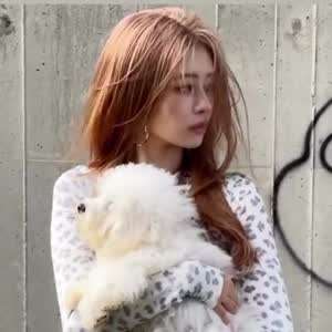 아이브 레이