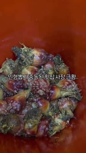 인형뽑기 중독된 횟집 사장 근황