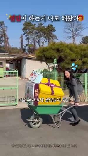시골집 간김에 요즘 해외 유명 셀럽이 하는 시딩깡 나도 해봤다