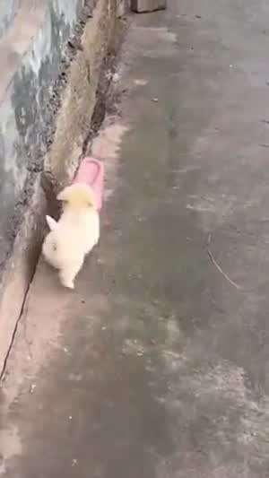 형아 이거 받아봐~