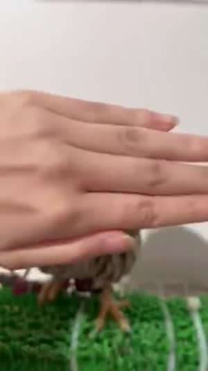 빼꼼~