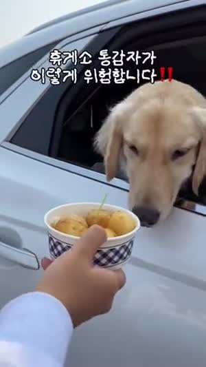휴게소 통감자가 위험한 이유