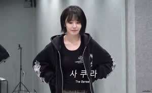 르세라핌 사쿠라