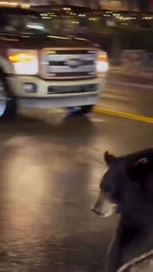 그냥 엉덩이 한번 만져보고 싶었던 아재.mp4